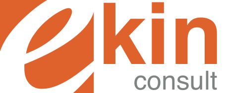 Logo Ekin consult